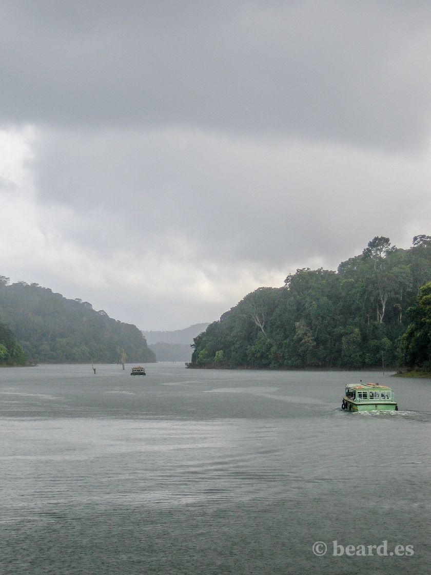 El pantano en Thekkady