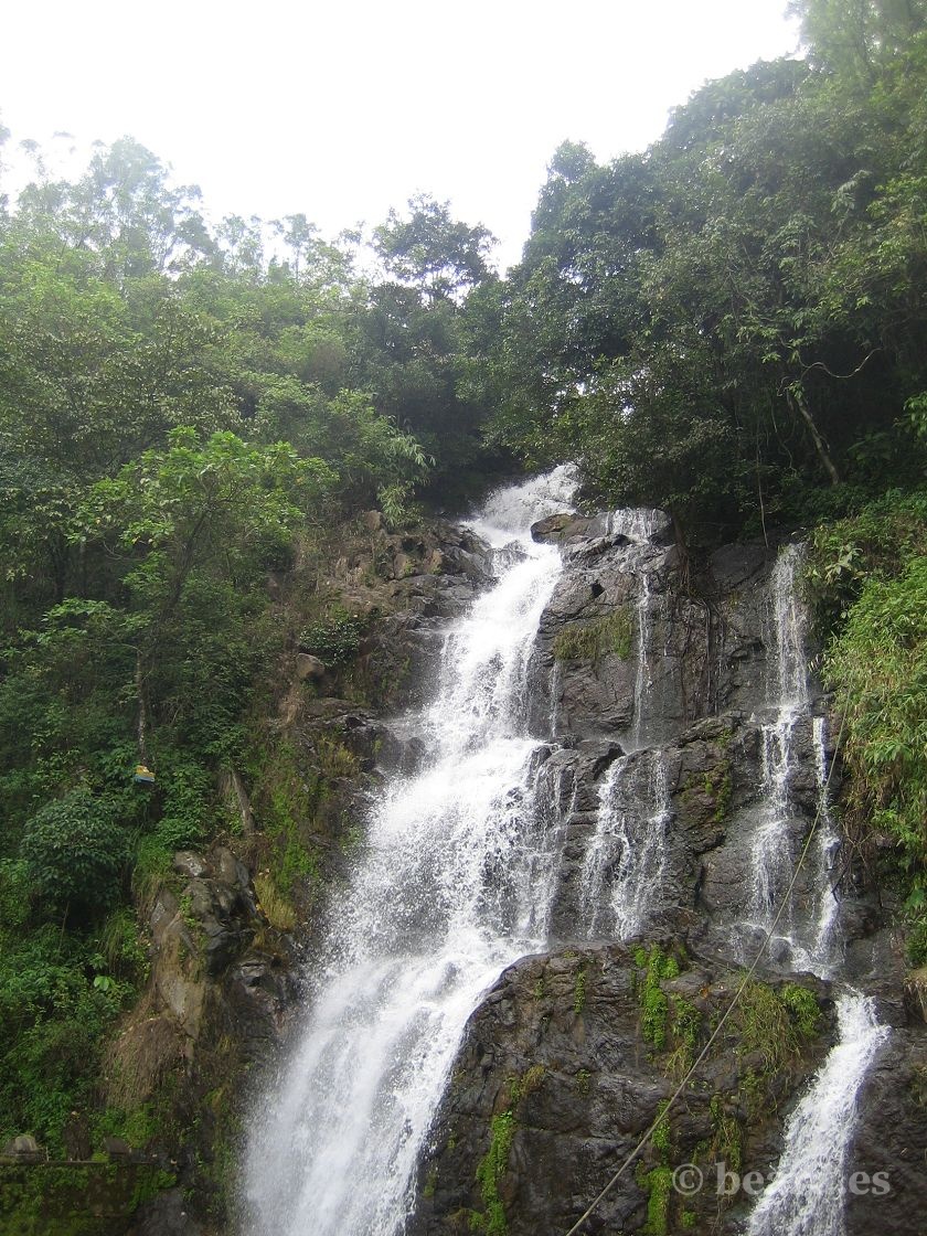 Cascada, salvaje total